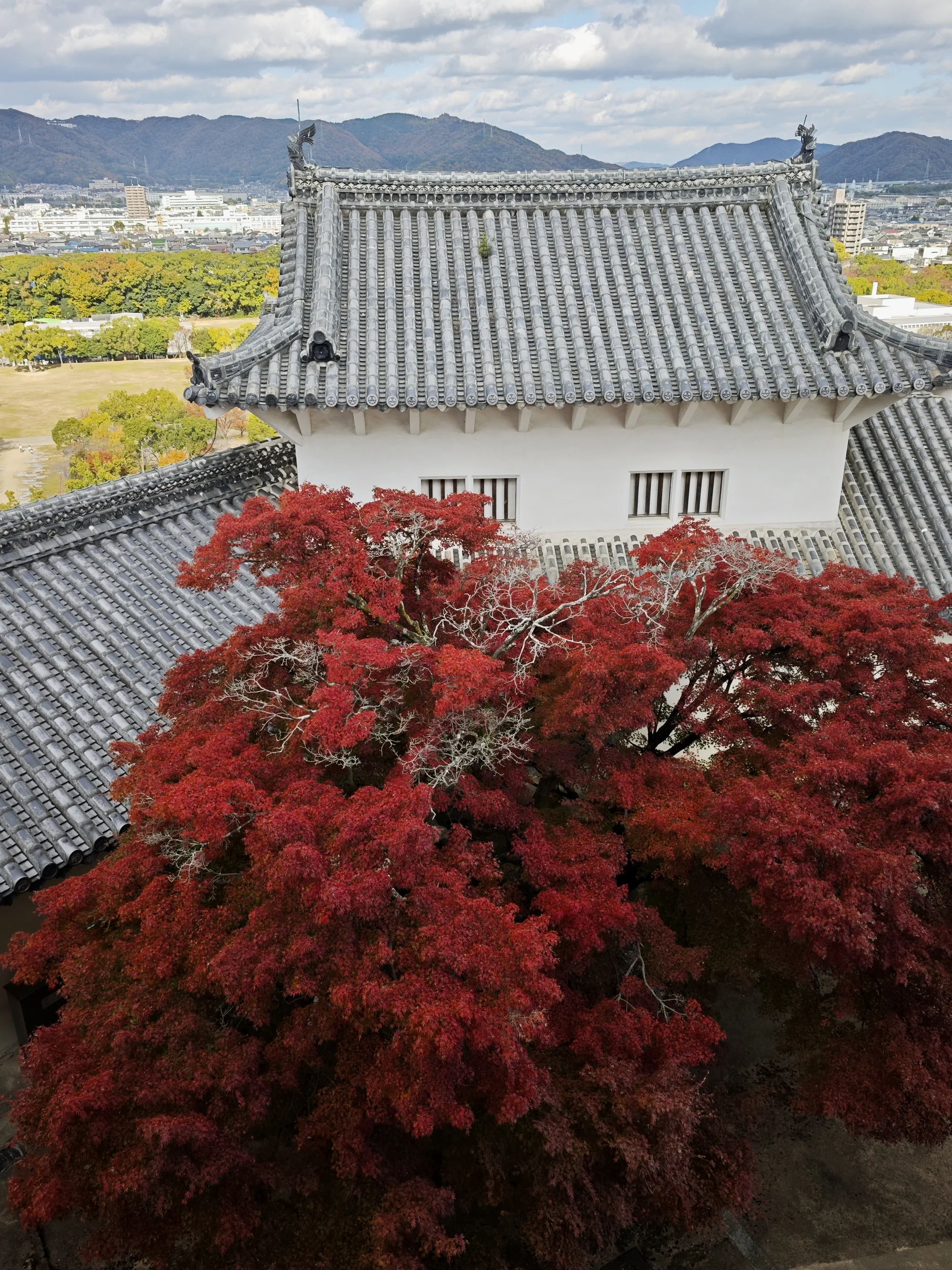 从天守向外看去的秋日景致