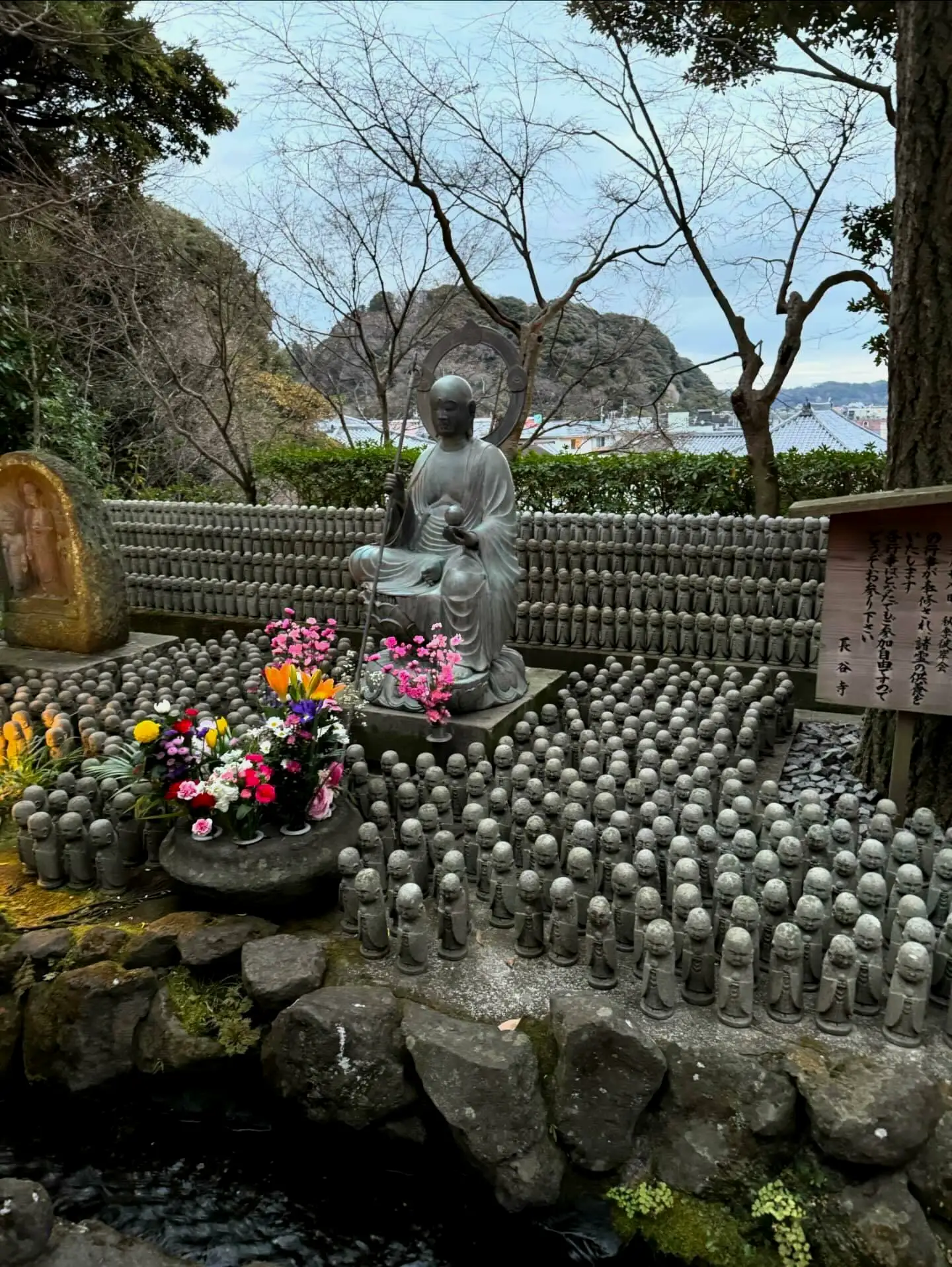 净化池