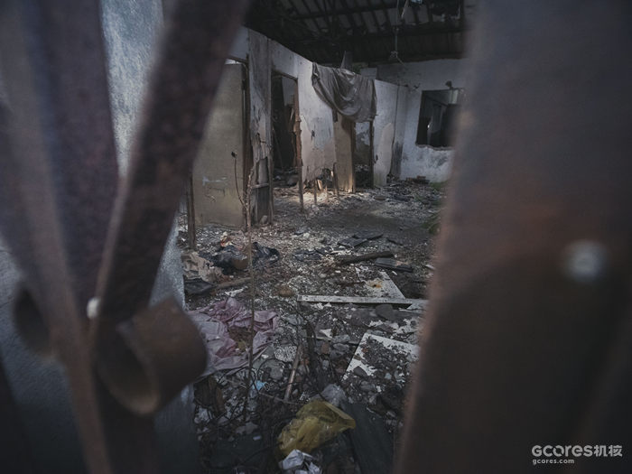 摄影分享丨这一年 摄影分享丨这一年