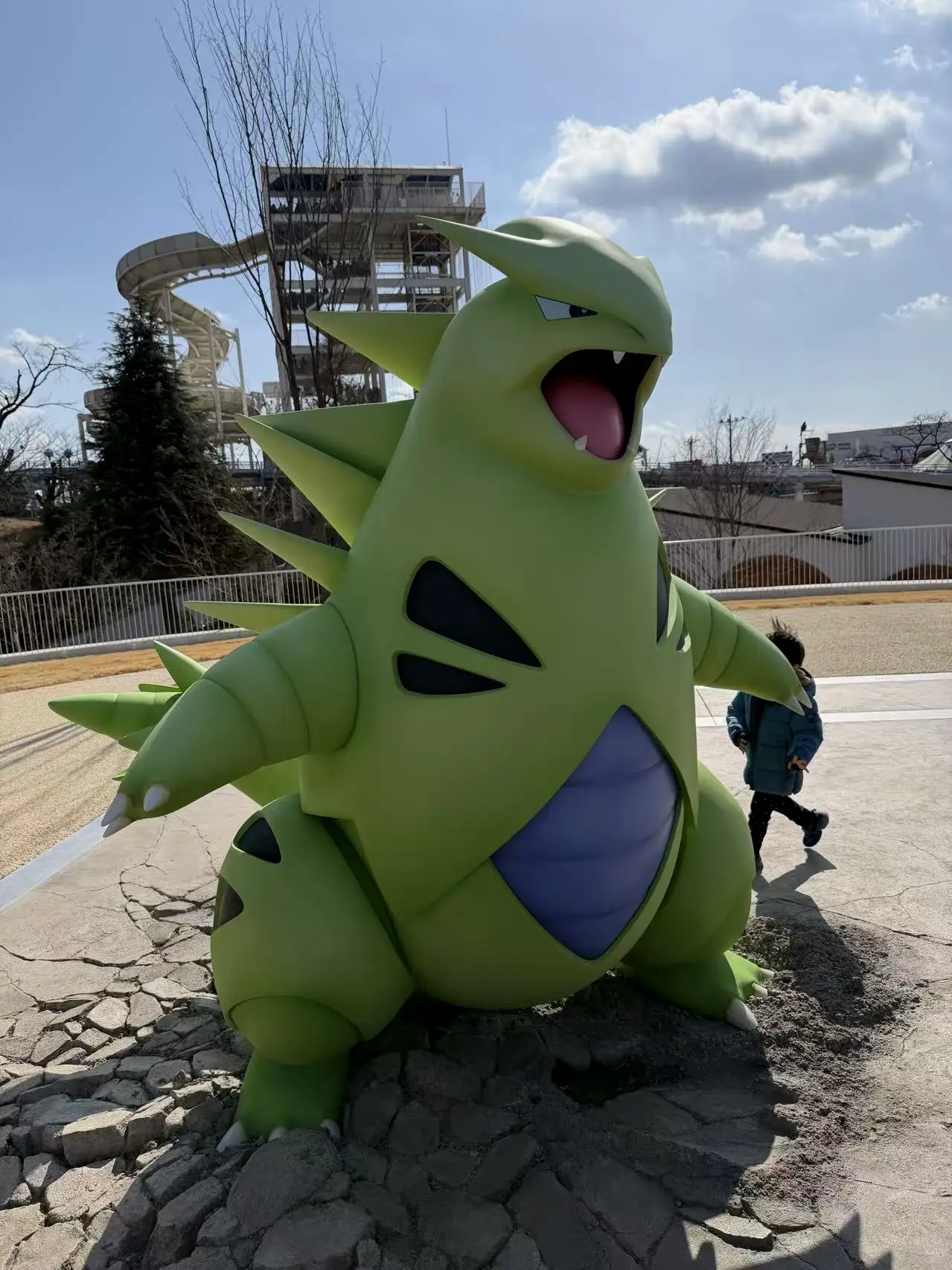 老班，你为什么退标了啊？