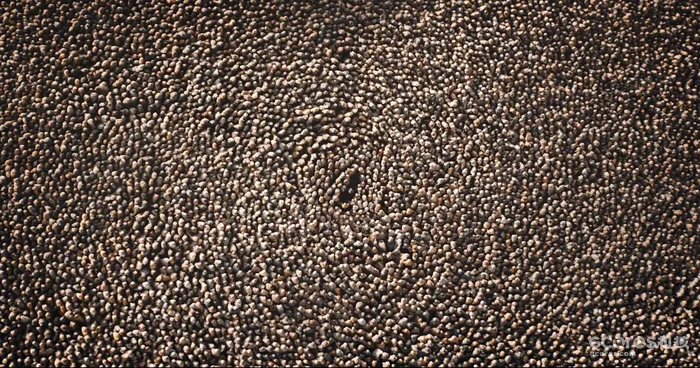 “瀚海之战”,《沙丘2》新预告发布 “瀚海之战”,《沙丘2》新预告发布