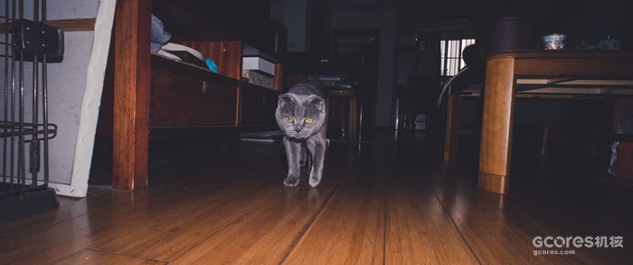 摄影分享丨这一年 摄影分享丨这一年