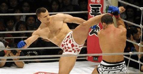 Mirko "Cro Cop" Filipovic