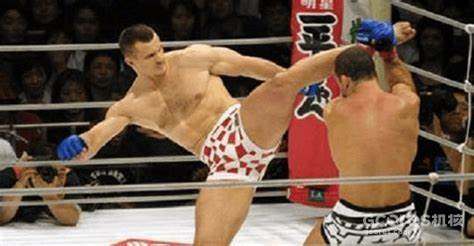 PRIDE FC 简史 pt.2 PRIDE FC 简史 pt.2