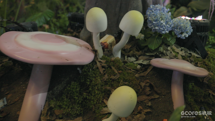 他们好像是认真想造一个真实的梦:《明日方舟》嘉年华 他们好像是认真想造一个真实的梦:《明日方舟》嘉年华