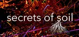 Secrets Of Soil