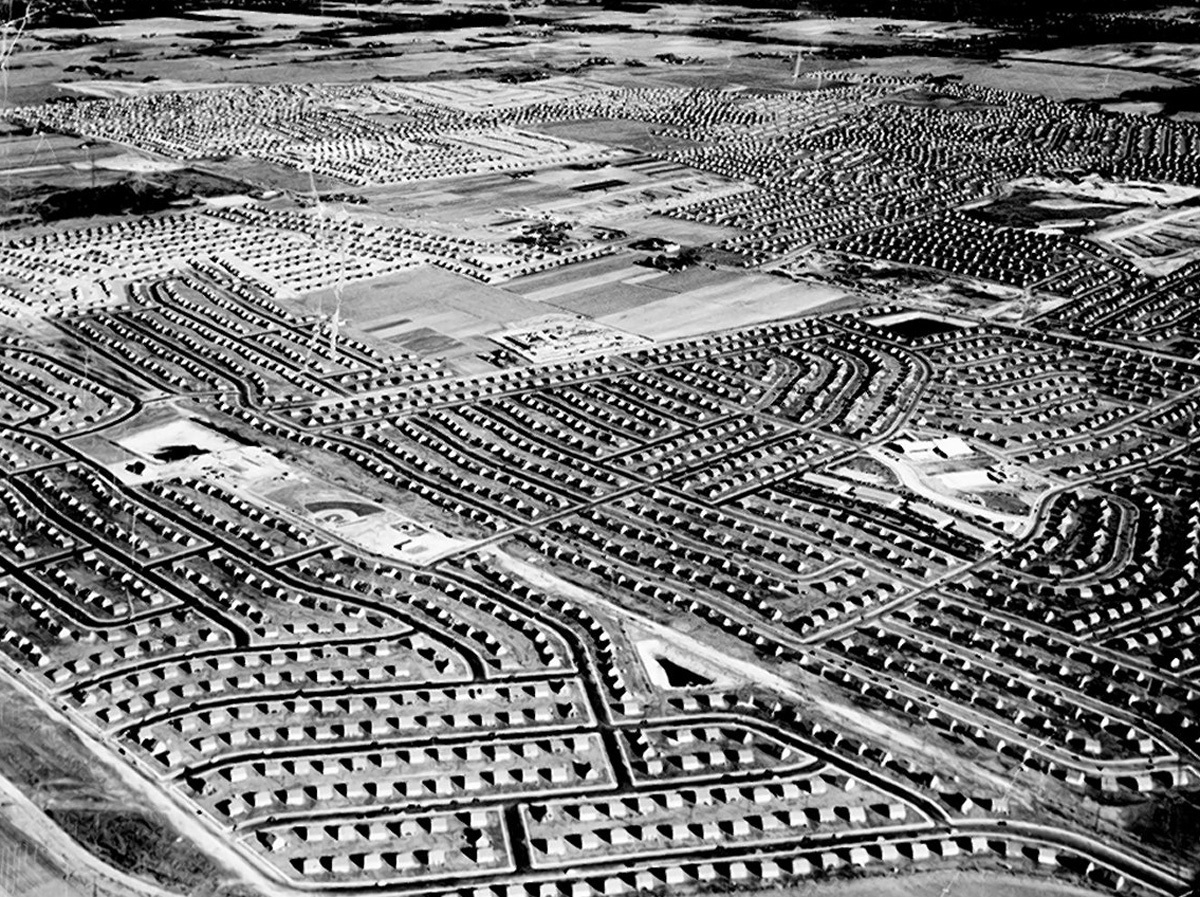 萊維頓中如同流水線商品的片區住房，是戰後美國郊區的原型。（來源：Acme Newsphotos）
