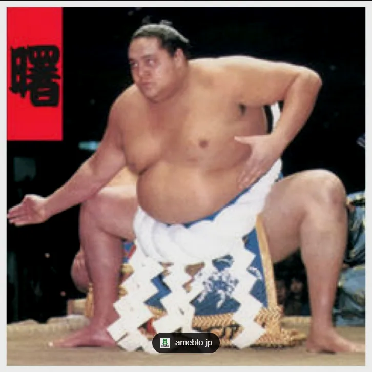 外形设计上参考的就是日本有名的相扑手曙太郎，不得不说，微软当年为了讨好霓虹人民属实下足了血本