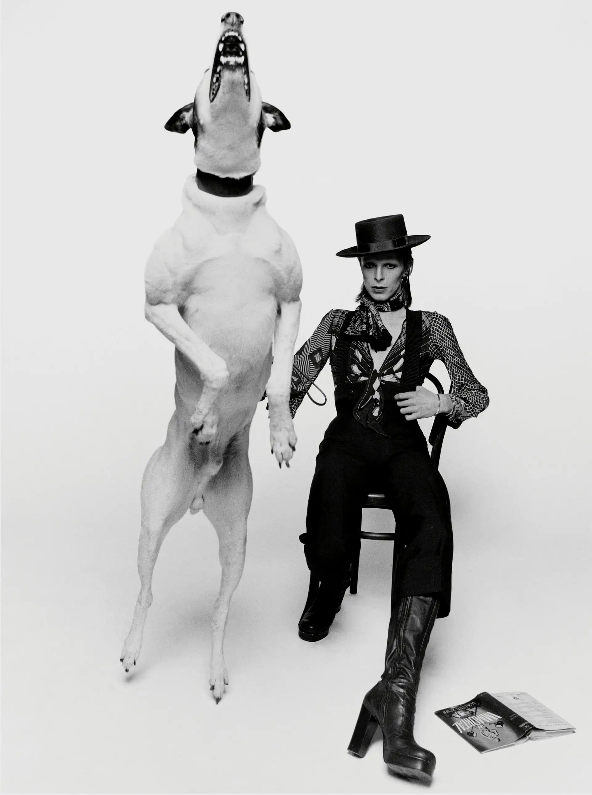 Terry O'Neill 所拍摄的 David Bowie