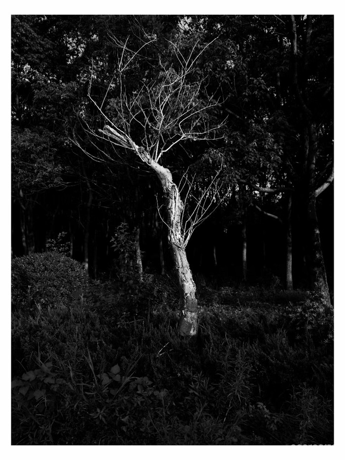 摄影分享丨这一年 摄影分享丨这一年